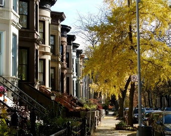 Landscape Photograph - Limestones/Brownstones Brooklyn New York - Autumn Street Scene - New York Architecture - Fall Foliage - Ginkgo Tree