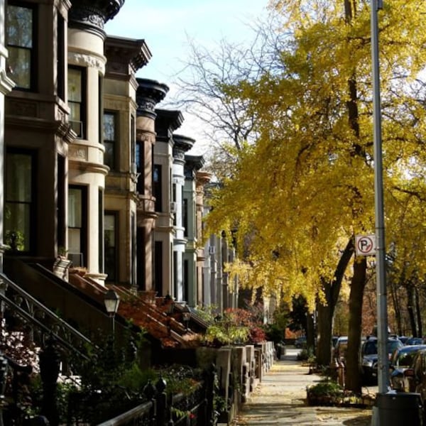 Landscape Photograph - Limestones/Brownstones Brooklyn New York - Autumn Street Scene - New York Architecture - Fall Foliage - Ginkgo Tree