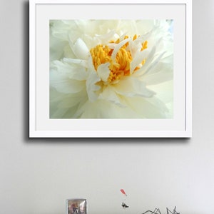 Peony Photography Flower Art Light Ivory White Elegant Flower Floral Wall Decor Peony Flower New York Peony Nature Photograph image 9