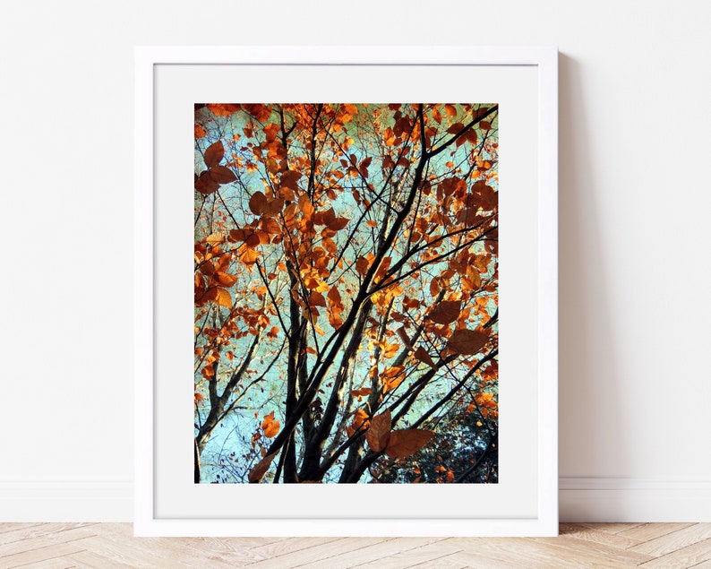 Copper Autumn Photography Autumn Foliage Beauty of Nature New York Autumn Tree Wall Decor Rusty Autumn Scene Nature Photograph image 8