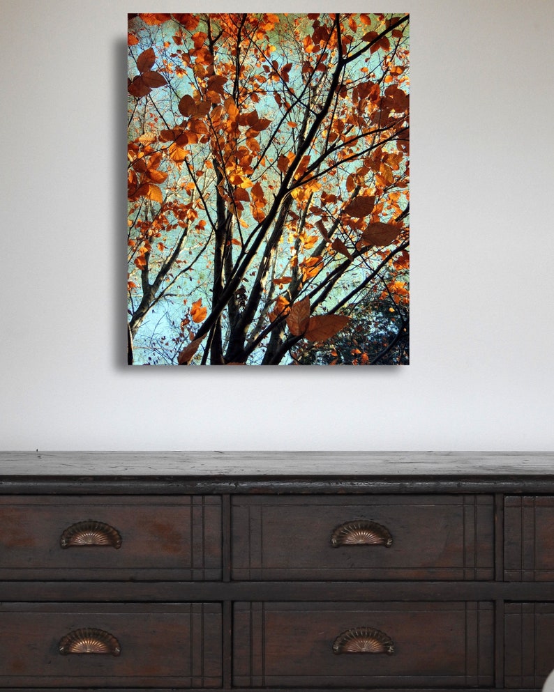 Copper Autumn Photography Autumn Foliage Beauty of Nature New York Autumn Tree Wall Decor Rusty Autumn Scene Nature Photograph image 3