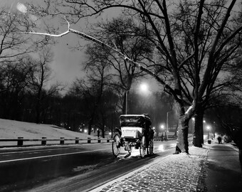 May include: A black horse-drawn carriage with a black top and a wooden frame is parked on a snow-covered street in a city park. The carriage is illuminated by streetlights and the snow is falling softly.