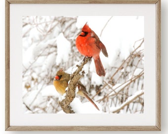 Pair of Cardinals - Winter Snow Storm - Love Birds - Birds in Snow Storm - Nature Photograph - N Y Cardinal - Wall Art - Bird Photography