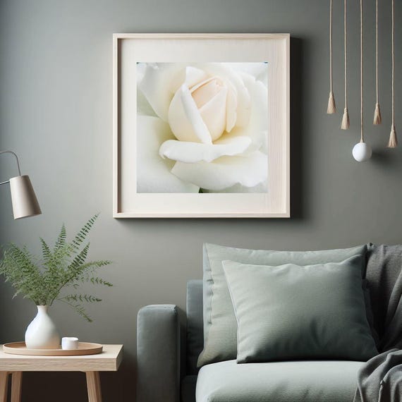 White Rose Photograph: Elegant Floral Wall Art - Etsy