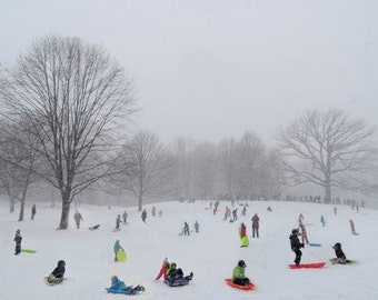 New York Photograph - Winter Blizzard - Sledding - Family Fun - Snowy Day - Sledding In Prospect Park - Kids Sledding - Nature - Landscape