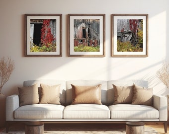 May include: Three framed prints of weathered barns with vibrant red foliage. The rustic wooden frames surround images of aged structures, with open doorways and peeling paint. The artwork is displayed above a white sofa with neutral-toned pillows.
