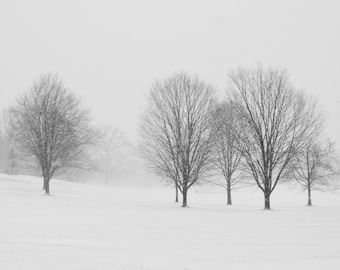 Winter Snow In New York - Nature Art - Pale Field - Tree Art - Wall Decor - Snow Covered Land - Black and White Nature Landscape photograph