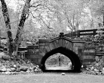 Prospect Park Arch Photography Print: New York City Landscape Wall Decor