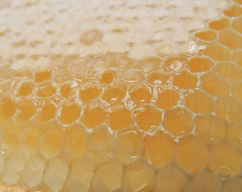 Honeycomb Photograph - Raw Honey - Beeswax - Honey Comb Cells - Honey Harvest - Nature - Beehive -  Honey - Kitchen Art - Food Photography