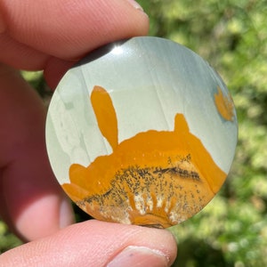 Owyhee Picture Jasper Cabochon