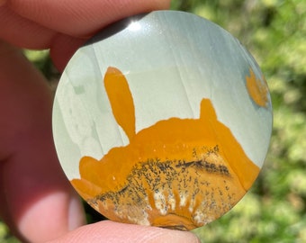 Owyhee Picture Jasper Cabochon