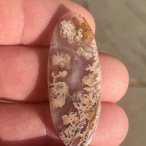 Priday Plume Agate Cabochon