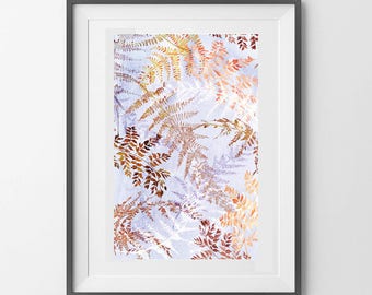 Snowflake fern  art print A3/A4