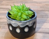 Small Black Ceramic Planter with White Accents- Mid Fire Succulent Planter, Small Ceramic Cup