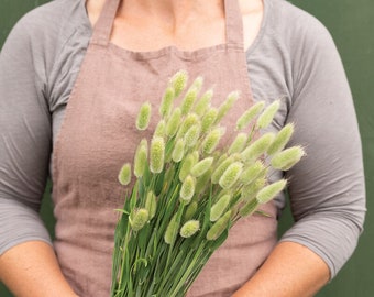 100 Bunny Tails Grass Seed / Lagurus ovatus / Ornamental Grass / Cut flower / Dried Flower / Bouquet / Decor / English Garden / Hare's Tail