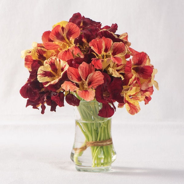 50 Bloody Mary Nasturtium Seeds / Tropaeolum minus / Bouquet Flower / Cut Flowers / Container Flowers/ English Garden / Cottage Flower