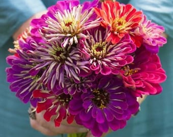 25 Meteor Shower Zinnia Seed Mix / Zinnia Elegans / Cut Flower /Bouquet Flowers /Wedding Flowers / English Garden / Wildflowers / Cottage