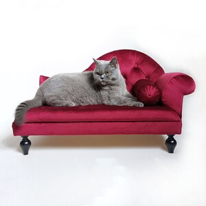 Divano per gatti barocco, animale domestico Chaise Lounge, divano per cani in stile vintage, letto per gatti, animale domestico Chaise longue, divano per cani, divano per gatti, regalo per gli amanti dei cani immagine 2