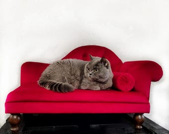 Sofá de veludo para cães, cama personalizada para gatos, chaise longue para animais de estimação, sofá para gatinhos, presente para amantes de gatos.