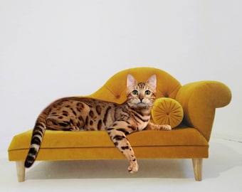 cat bed couch