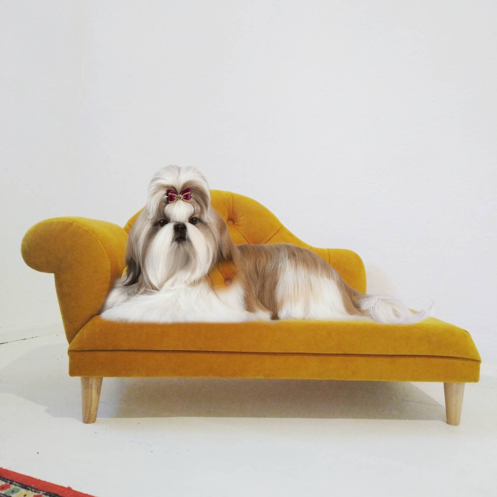 Lounger chaise Dog Dog sofa Cat lounger Dog couch Lounge Etsy