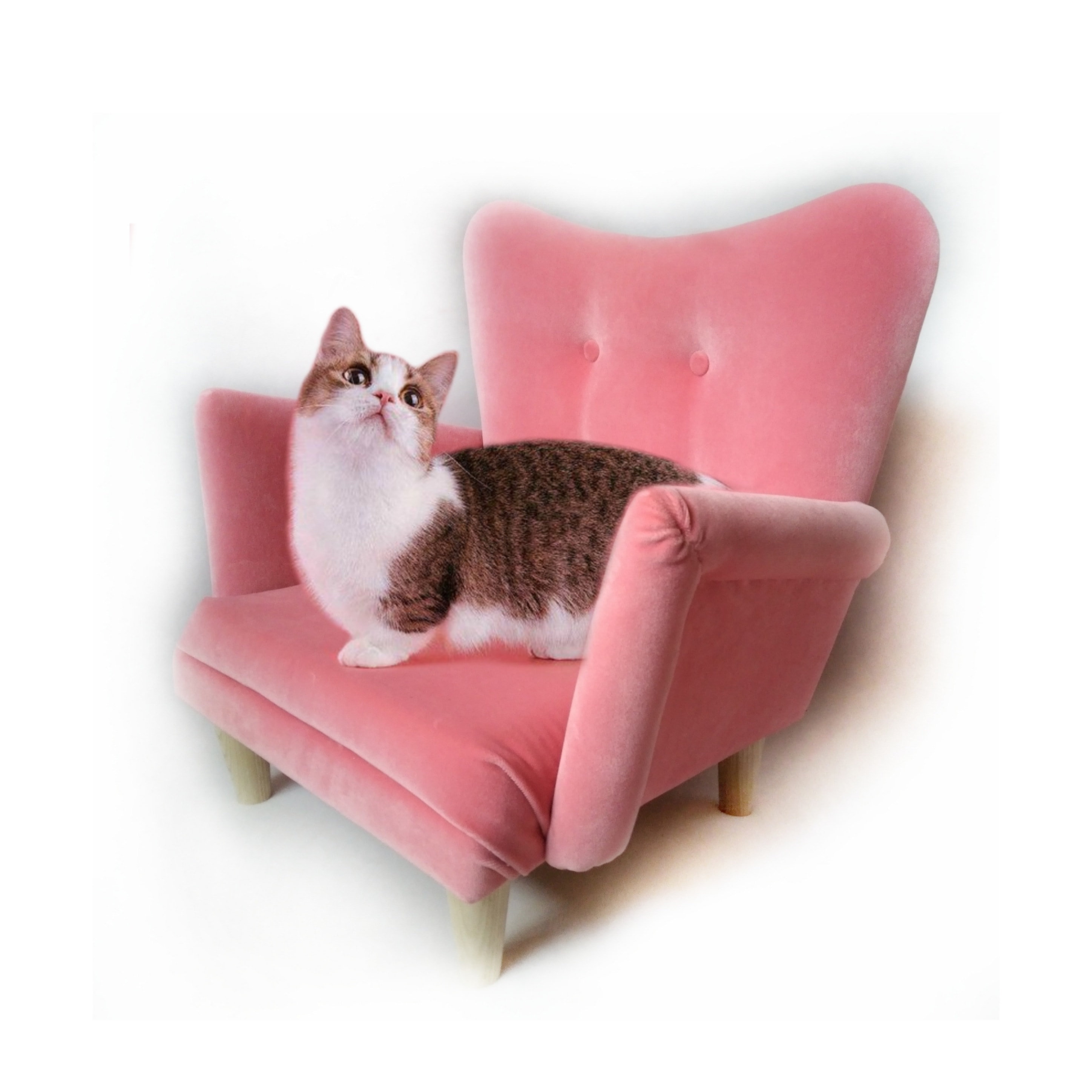 Longer chaise cat Luxury lounge chaise dog Dog bed Cat Etsy