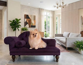May include: A fluffy, light-coloured Pomeranian dog sits on a deep purple velvet chaise longue with a tufted back, a cylindrical bolster pillow, and dark wooden legs. The chaise is positioned in a bright, open-concept living room space.