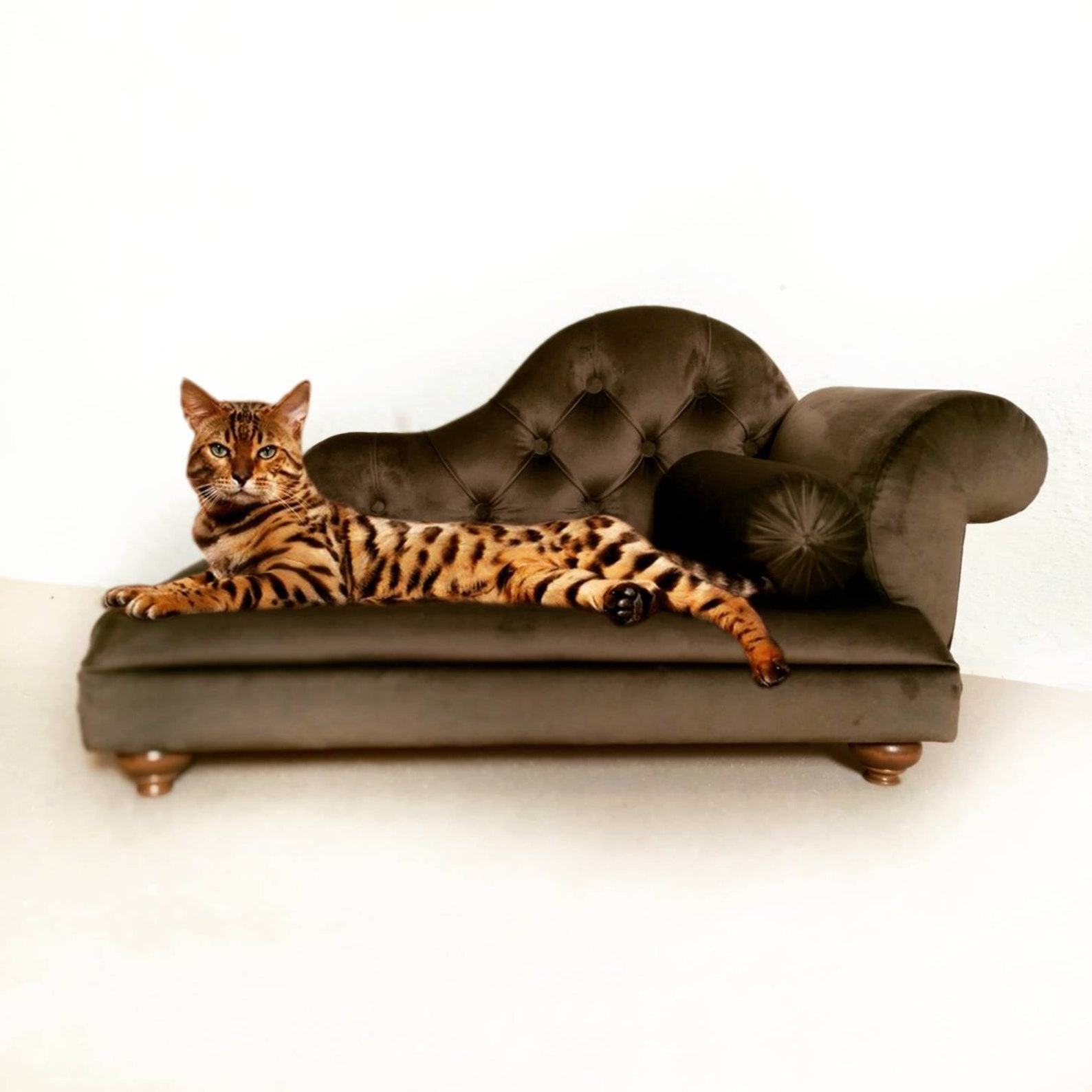 Fancy Cat Beds Lounge Chaise Cat Cat Bed Dog Sofa Dog Bed Etsy