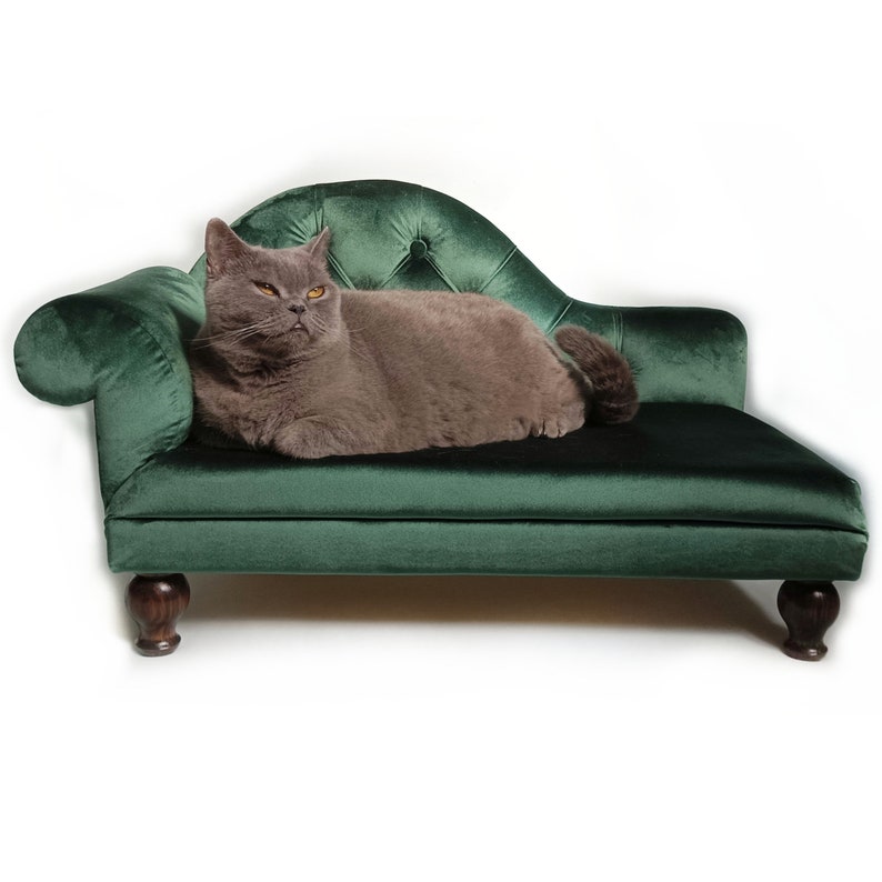 May include: A grey cat resting on a dark green velvet chaise longue. The furniture features a tufted backrest, a curved armrest, and four dark wooden bun feet. The cat has short fur and amber eyes, positioned centrally on the seat cushion.