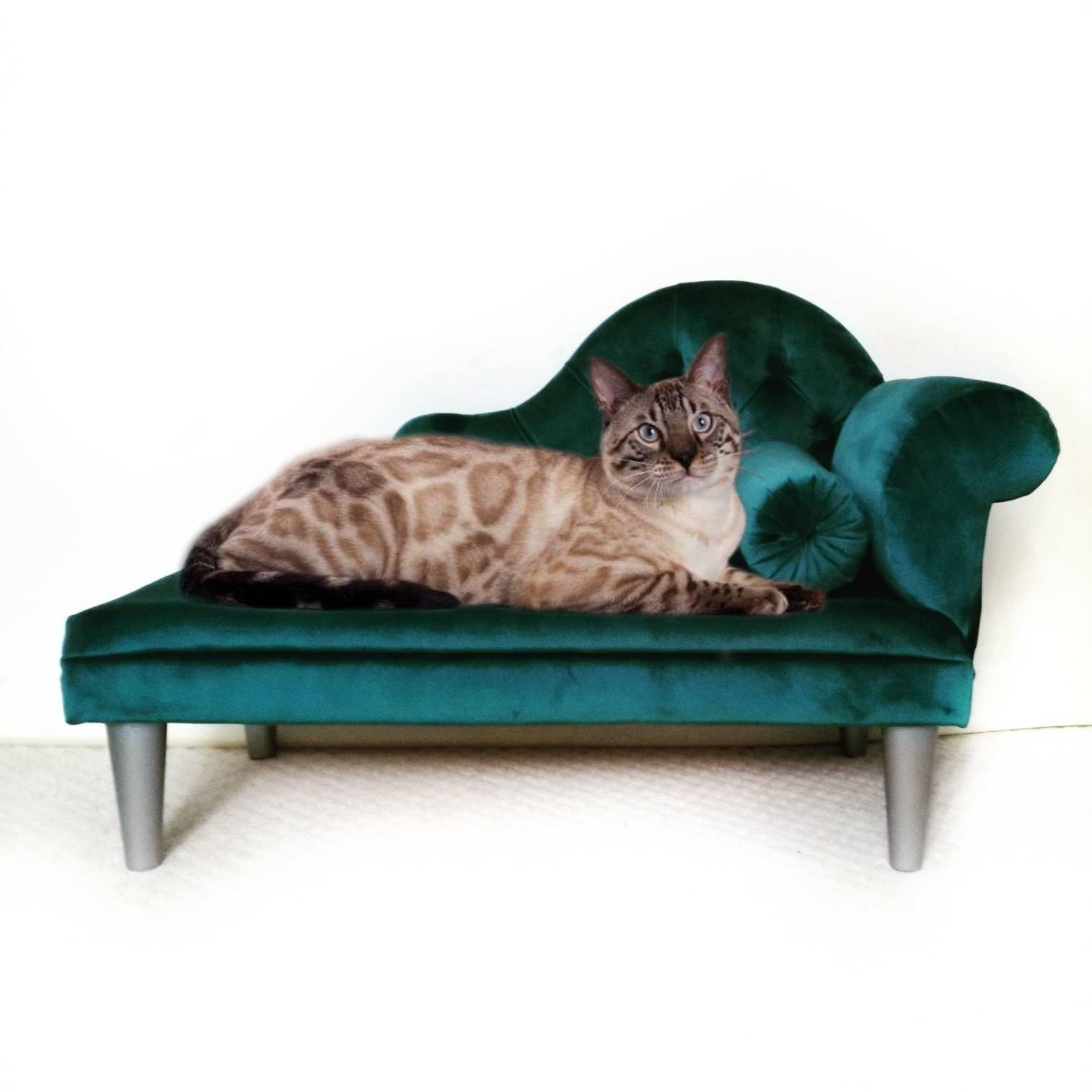Teal Velvet Dog sofa Chaise cat Cat bed Dog bed Cat sofa Etsy