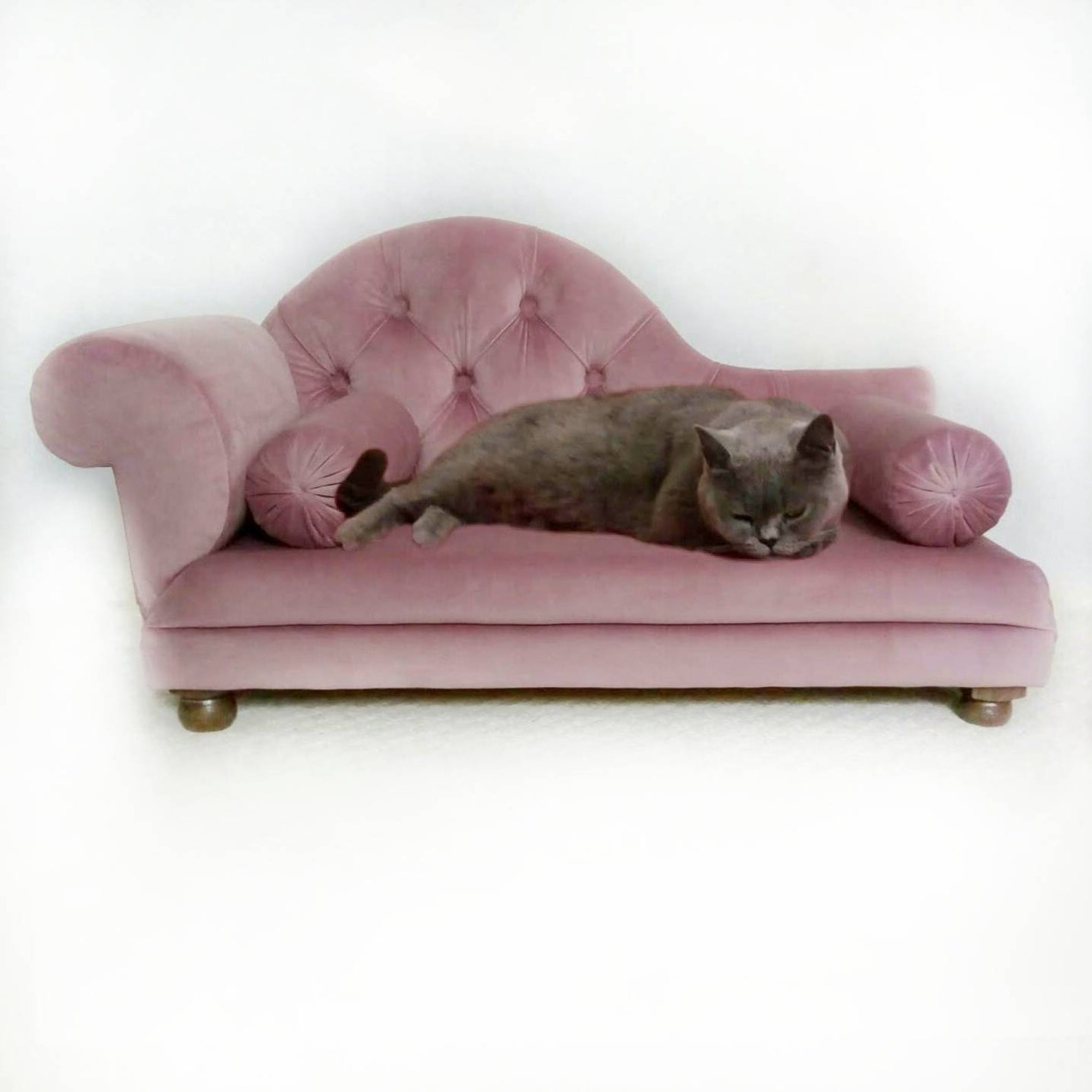 Cat sofa оригинал купить