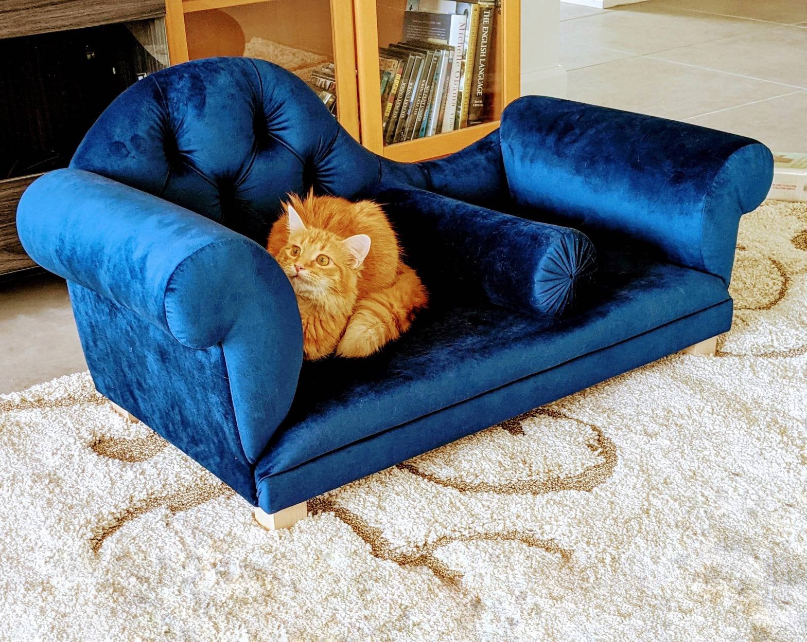 Cozy sofa for cat or dog cat bed Cat couch dog sofa dog Etsy