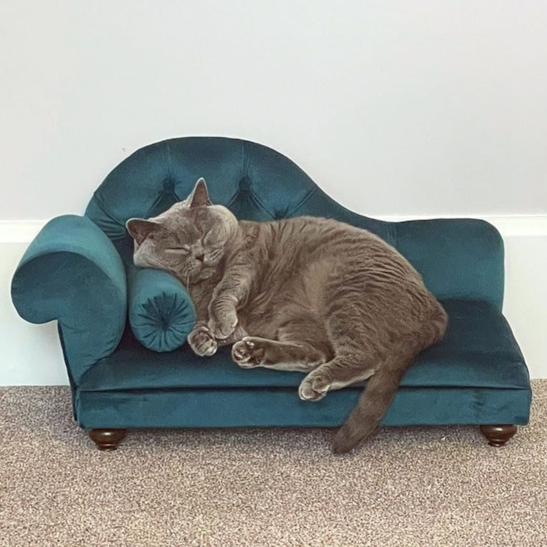 Velvet Dog Sofa Lounge Chaise Dog Cat Bed Cat Sofa Dog Etsy