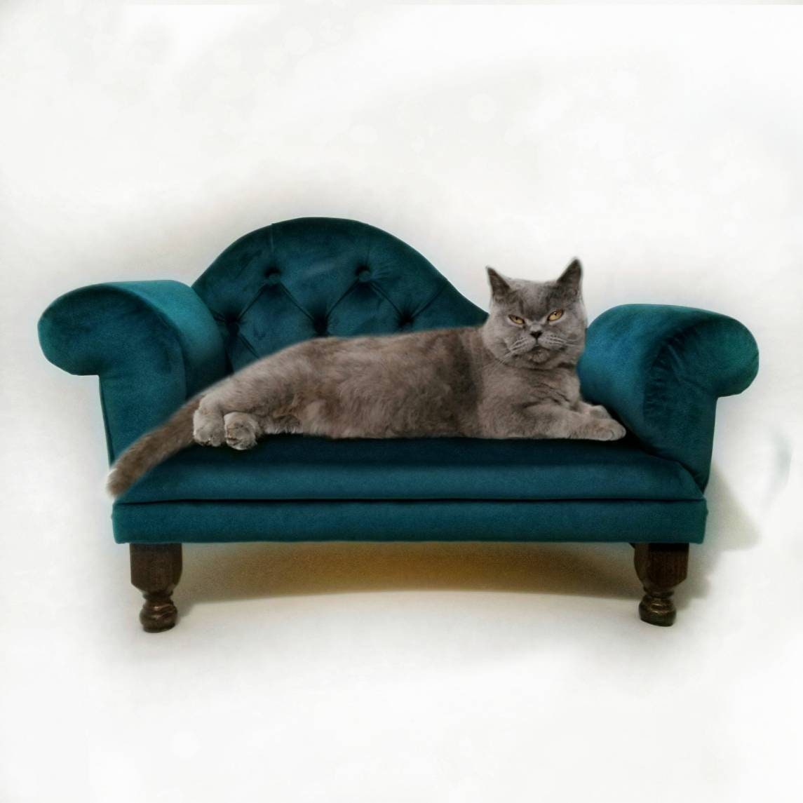 Cozy bedsofa for cat or dog/Lounge chaise pet Etsy