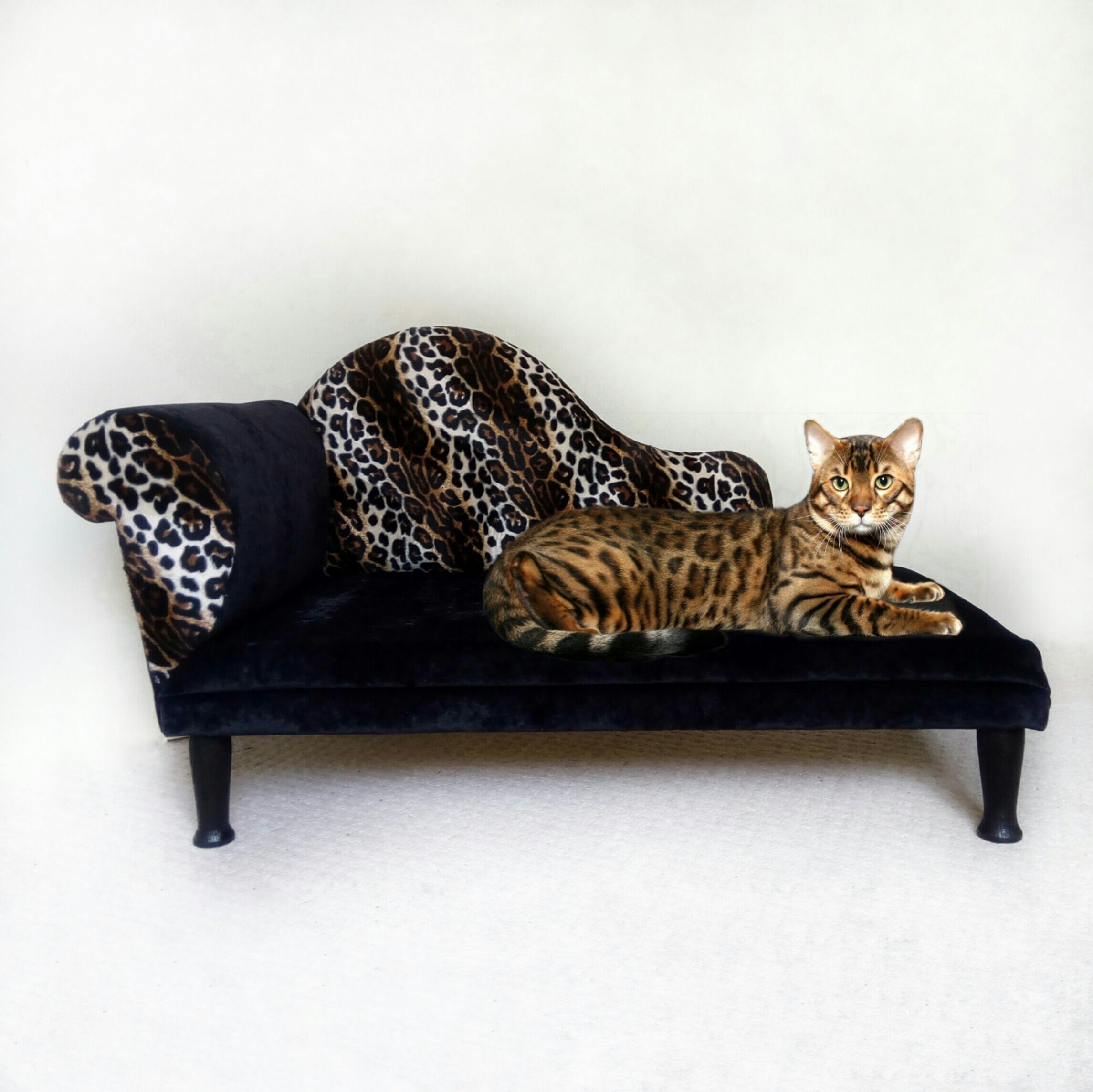 Cat Bed Dog Bed Dog Sofa Leopard Print Dog Couch Custom Dog Furniture Bed Pet Cat Bed Dog Bed Dog Sofa Leopard Print Dog Couch Custom Dog Furniture Bed Pet