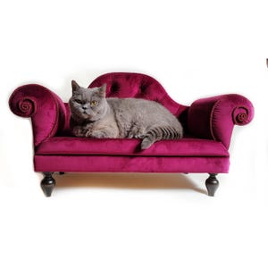May include: A small, deep magenta velvet pet sofa with a tufted backrest, rolled arms featuring rope trim, and dark brown turned wooden legs. A grey cat with yellow eyes is resting on the seat of the sofa against a plain white background.