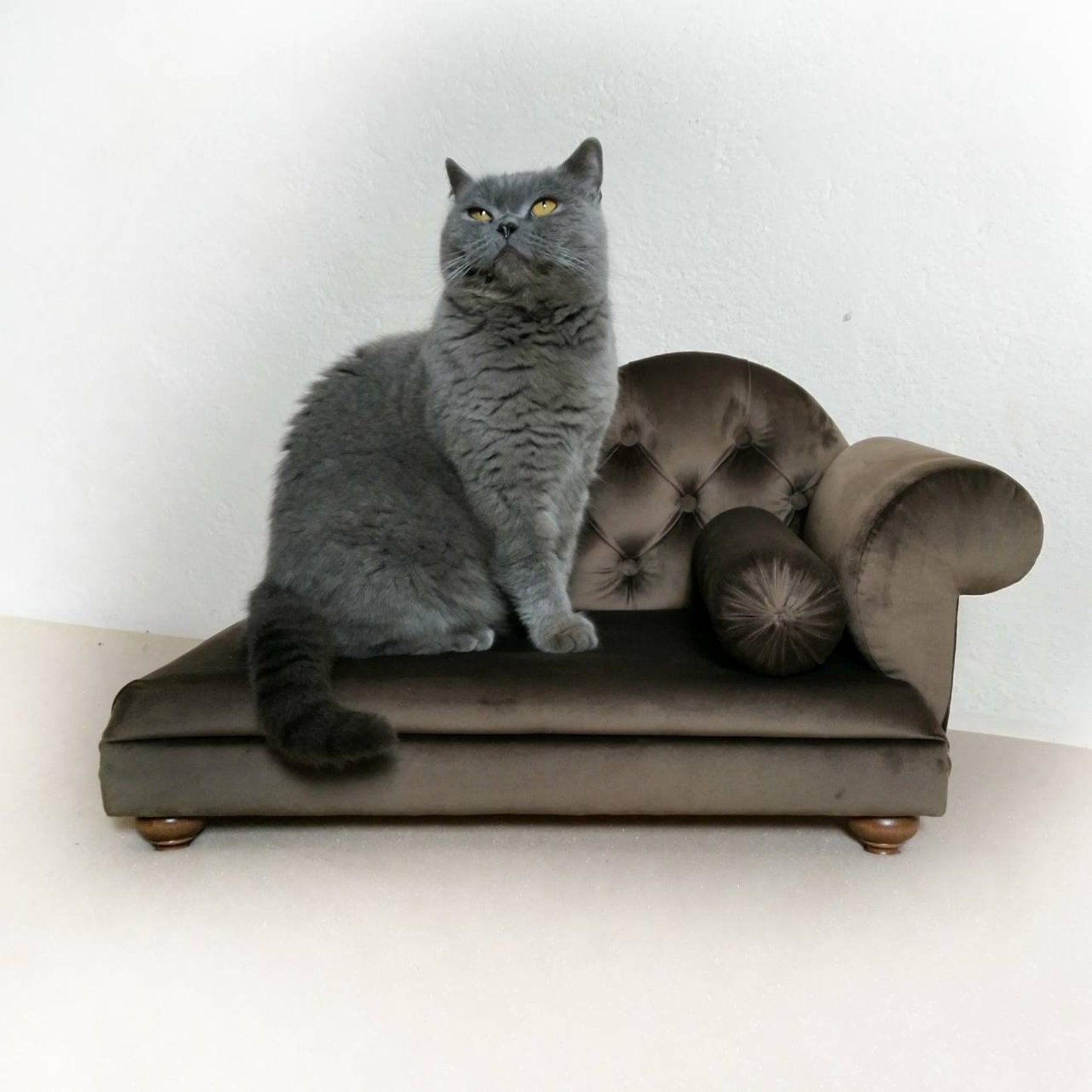 Dog chaise Cat chaise Dog Sofa Dog bed Lounge chaise pet Etsy