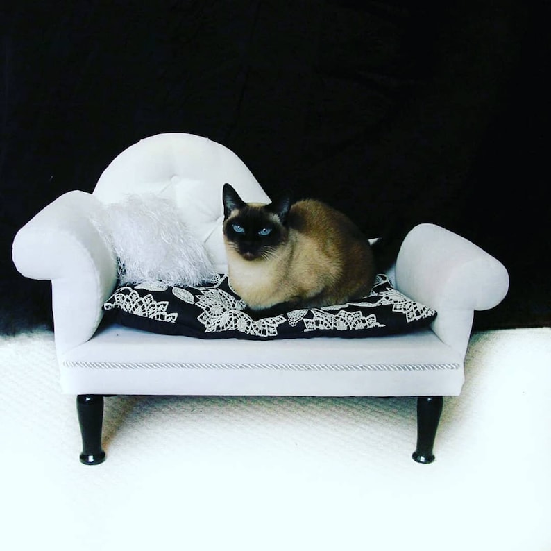 Cozy bed sofa for cat or dog dog chaise cat chaise Lounge Etsy
