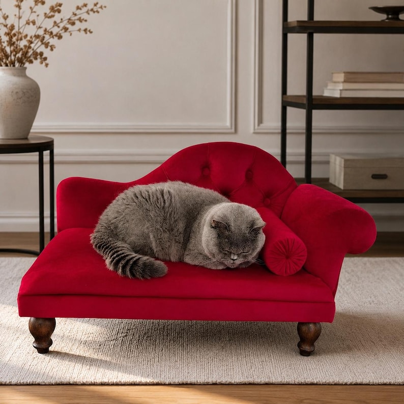 May include: A small, red velvet pet chaise longue with a tufted backrest, a cylindrical bolster pillow, and dark wooden legs. A fluffy grey cat is curled up and sleeping on the centre of the seat cushion of this miniature furniture piece.