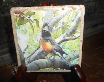 Baby Robin Fine Art Photography, Photographic Art, Bird Photography, Robins, Orange, Brown