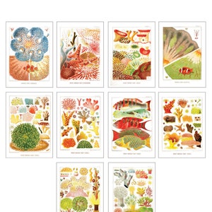 Coral Reefs Strip of 4 35c (Postcard Rate) Postage Stamps - MNH