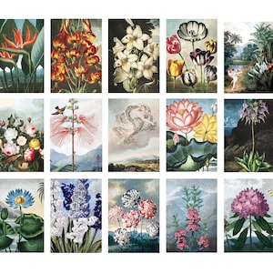 Cartoline botaniche vintage Tempio della Flora- Set di 15 (Collezione ampliata!)