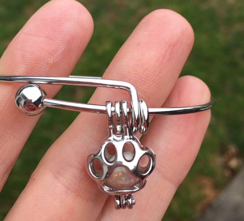 Pet Ash Bracelet Cremation Jewelry Pet Memorial Pet Ashes Pet Ash Bangle