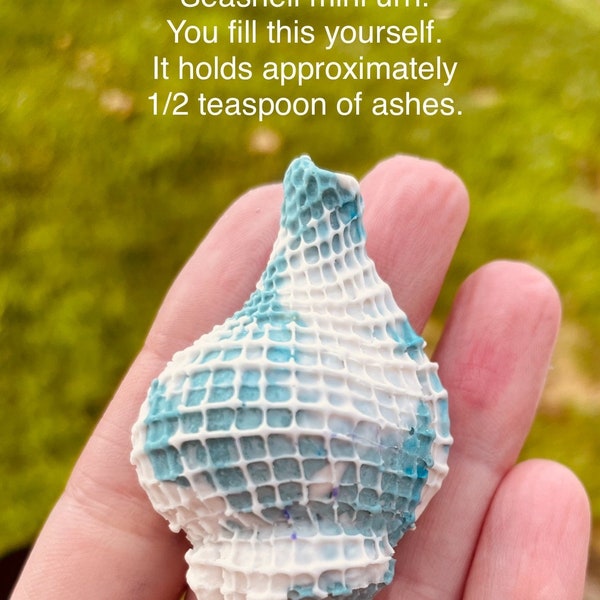 Fillable Seashell Cremation Urn, YOU FILL,  Memorial, Mini Urn, Seashell Memorial, Beach Memorial
