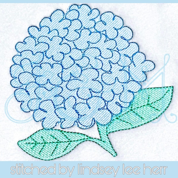 Hydrangea Floral Flower Sketch Fill Quick Stitch Running Bean Stitch Outline Vintage Style Machine Embroidery Design