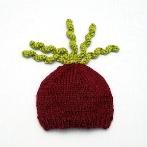 Beet Baby Hat | Beet Newborn Hat | Beet Hat | Vegetable Baby Hat | Vegetable Newborn Hat | Beet Baby Shower Gift | Beet Newborn Photo Prop