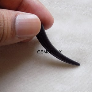 May include: A black, curved, polished horn pendant. The horn is smooth and has a glossy finish.