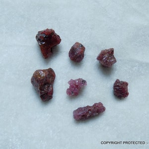 May include: A collection of seven rough, pink and red ruby crystals on a white background. The crystals are various sizes and shapes.