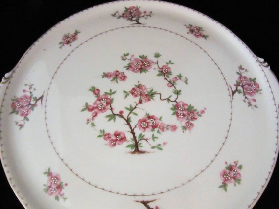 Vintage Hutschenreuther Hohenberg Cherry Blossom Handled Large