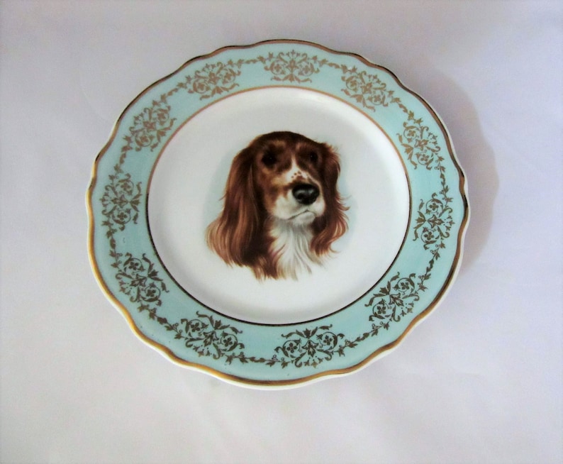 Antique Limoges Hand Painted Irish Setter Portrait Plate w Pale Blue & Gold Trim shops